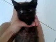 maria, luma, João e