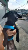 Miltinho