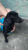Miltinho