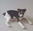 Léo