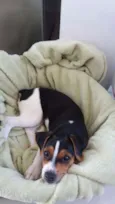 Léo