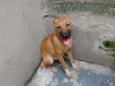 Bilú