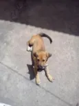 ainda nao tem
