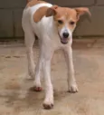 RUBI