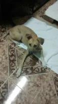 Sara e Jhonny