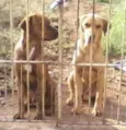 Max e Marley