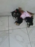 juju