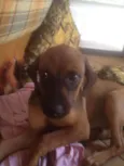 Princesa