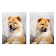 Aslan