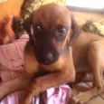 Princesa