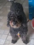 Branquinho e Negão