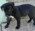 bebes valeria