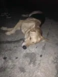 Não tem nome