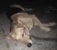Não tem nome