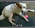 Clara