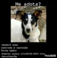 Sargento