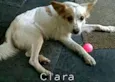 Clara