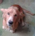 Meg