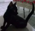 Quinha