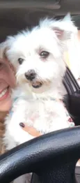 Mel