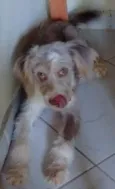 Scar