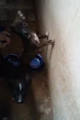 Nao tem