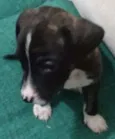 Nao tem