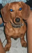 Billy
