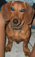 Billy