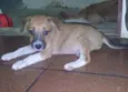 Sem nome