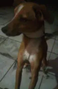Jack