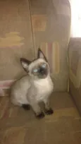 Sophie