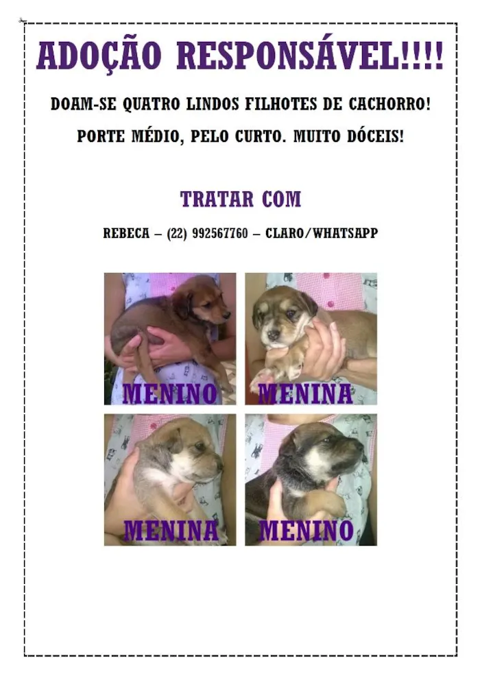 Cachorro raça  idade Abaixo de 2 meses nome Sem Nome