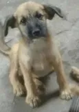 Bolota, Tempestade,