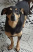 Bobbi