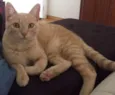 Mia e Muffin