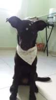 Nina