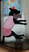 Nina