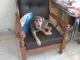 Paolo