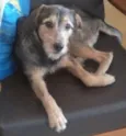 Paolo