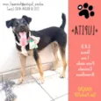 Lupita