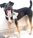 Lupita