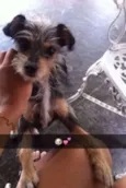 Nina 