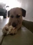 Nick