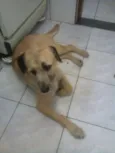 Nick