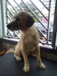 Nick