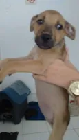Lili