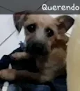 Bob