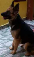 Mily