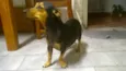menina